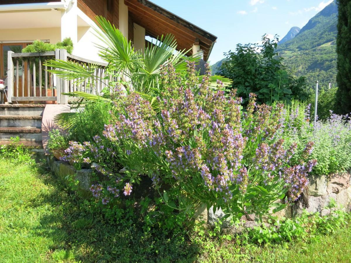 Апартаменты Feldererhof Посталь Экстерьер фото