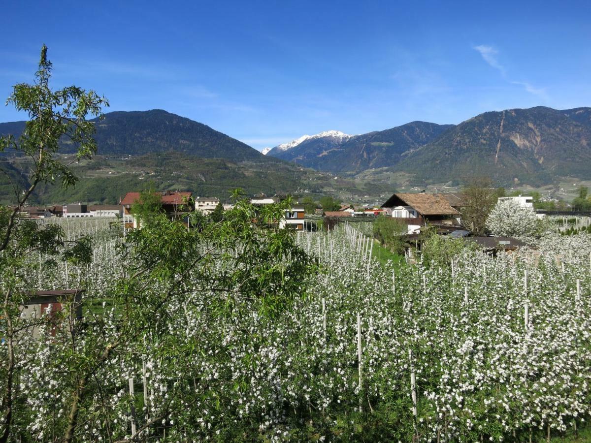 Апартаменты Feldererhof Посталь Экстерьер фото